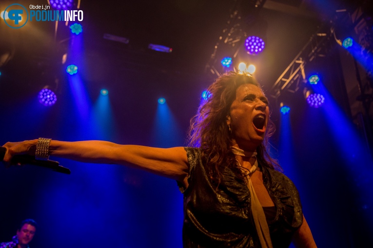 Nacht Van De Nederpop - 09/05 - Luxor Live foto