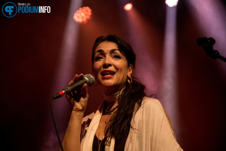 Nacht Van De Nederpop - 09/05 - Luxor Live foto