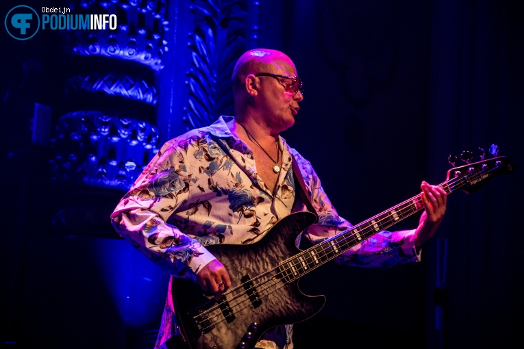 Nacht Van De Nederpop - 09/05 - Luxor Live foto