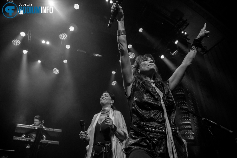 Nacht Van De Nederpop - 09/05 - Luxor Live foto
