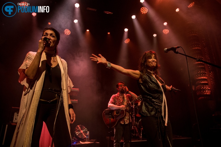 Nacht Van De Nederpop - 09/05 - Luxor Live foto