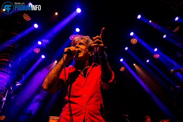 Nacht Van De Nederpop - 09/05 - Luxor Live foto