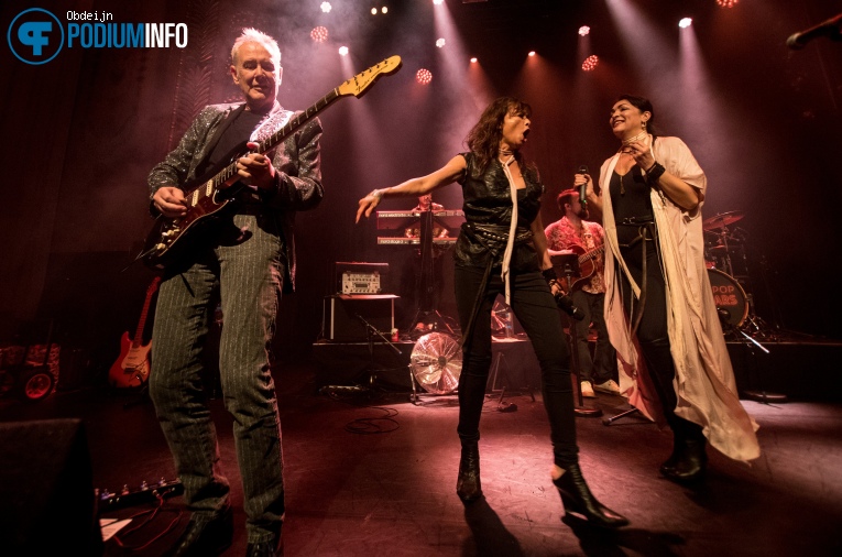 Nacht Van De Nederpop - 09/05 - Luxor Live foto