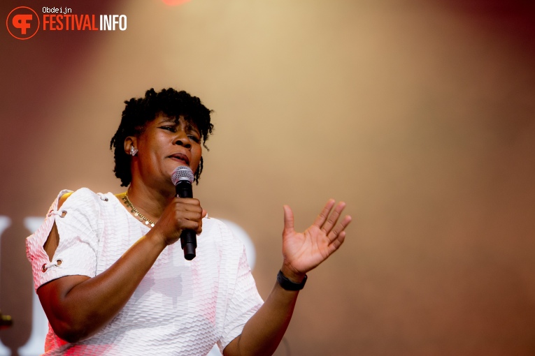 Robert Finley op Ribs & Blues 2024 foto