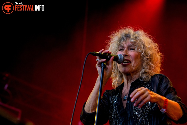 Barrelhouse op Ribs & Blues 2024 foto