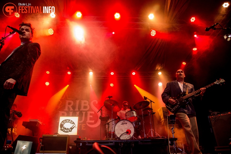 Gumbo Kings op Ribs & Blues 2024 foto