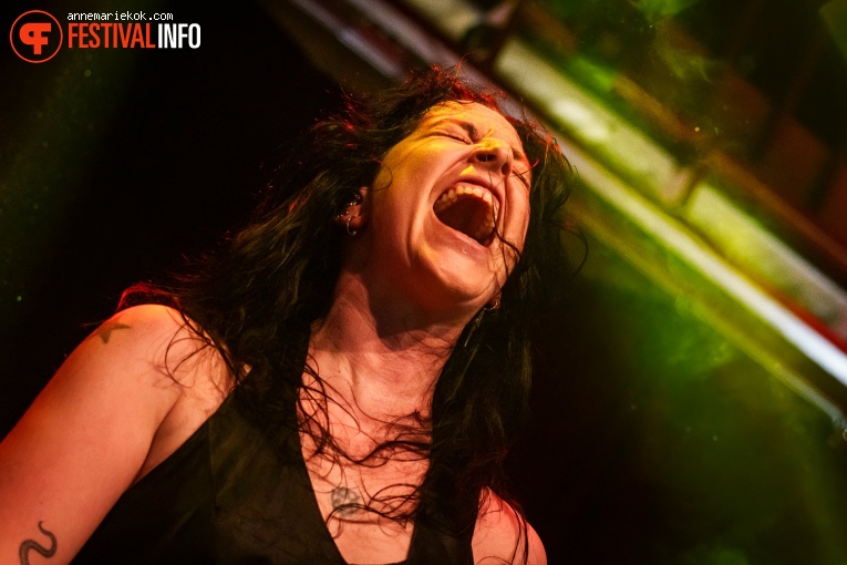 Dool op Dauwpop 2024 foto