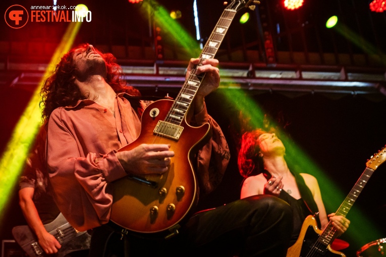 Dool op Dauwpop 2024 foto