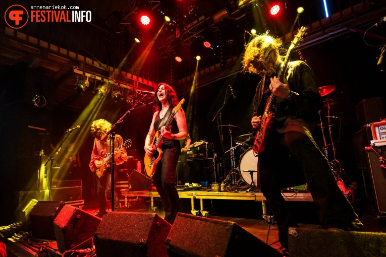 Dool op Dauwpop 2024 foto