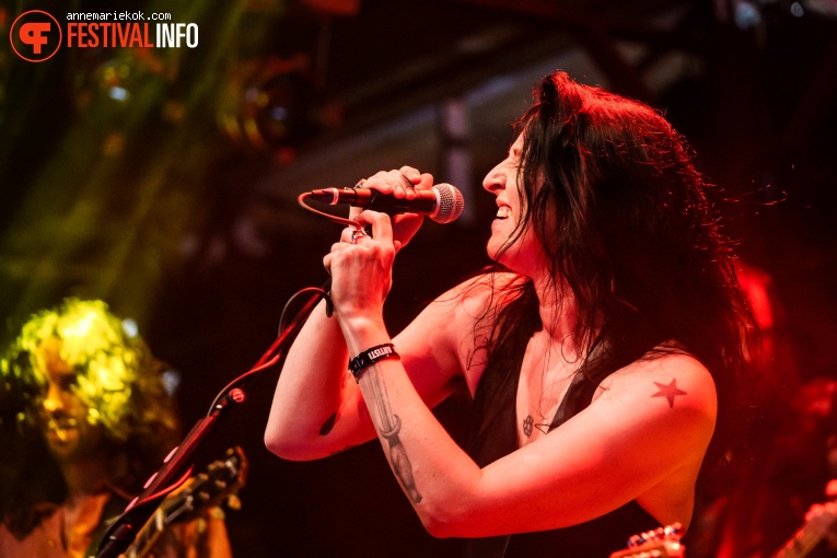 Dool op Dauwpop 2024 foto