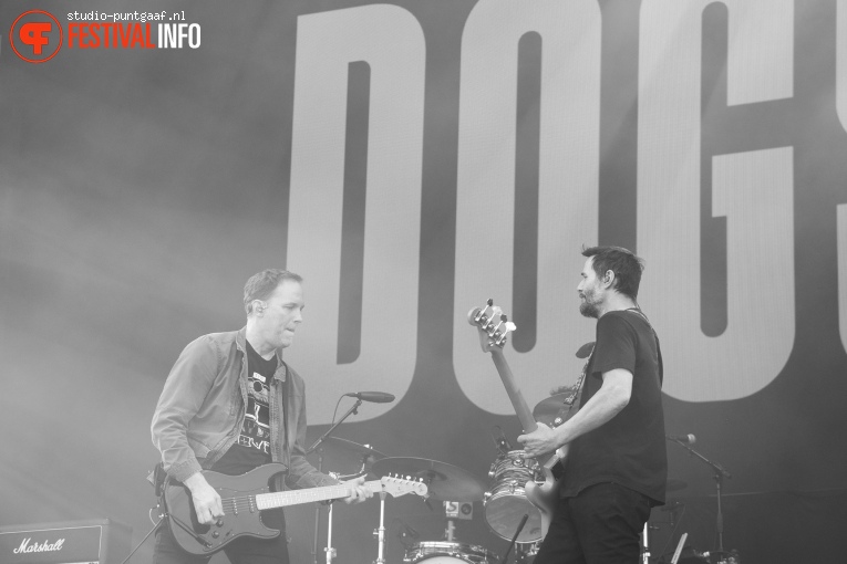 Dogstar op Rock Am Ring 2024 foto