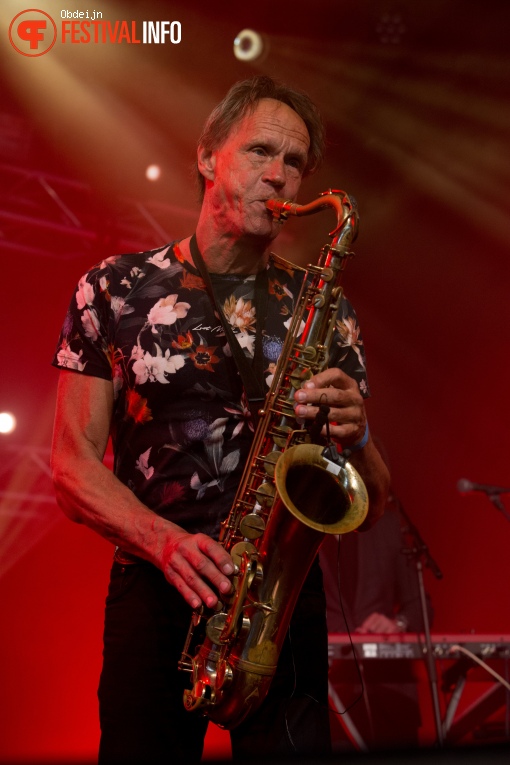 Hello Festival 2024 foto