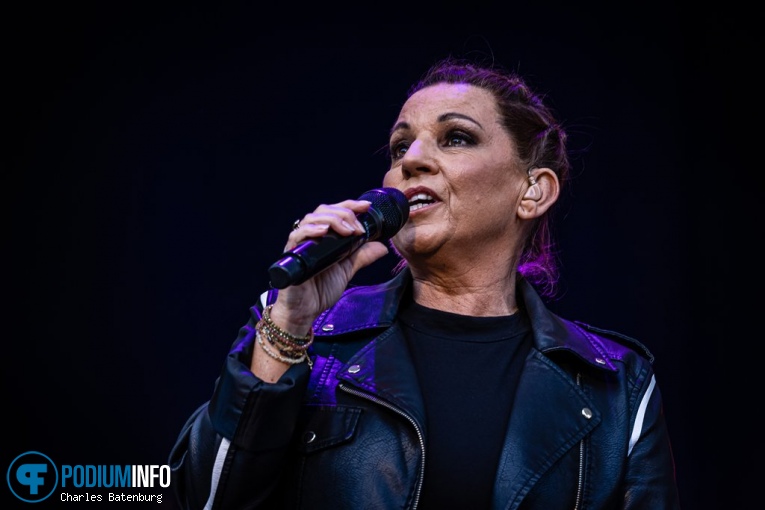 Edwin Evers Band op Zuiderpark Live: Edwin Evers Band - 20/06 - Zuiderparktheater foto