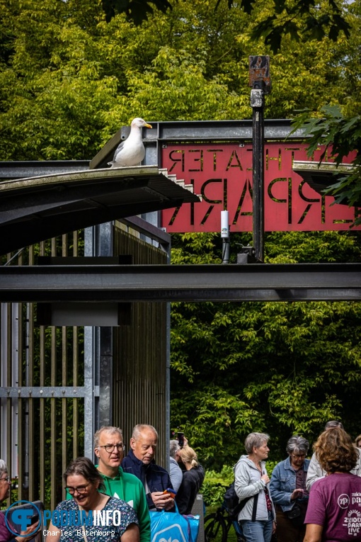 Zuiderpark Live: Edwin Evers Band - 20/06 - Zuiderparktheater foto