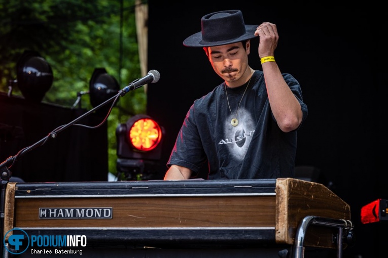 NAMBYAR op Zuiderpark Live: Edwin Evers Band - 20/06 - Zuiderparktheater foto