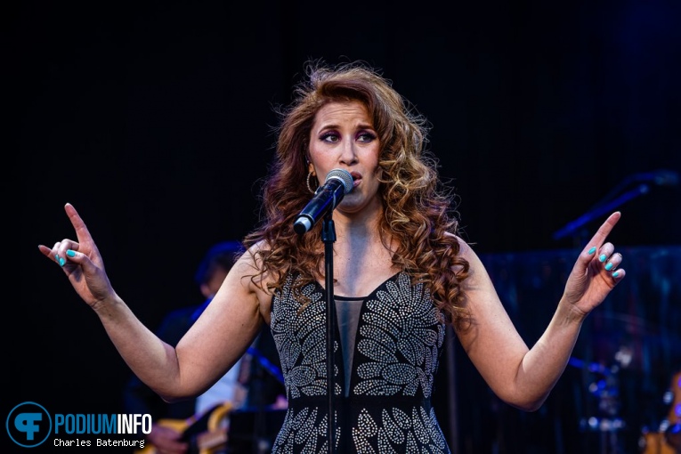 The Legends We've Lost op Zuiderpark Live: The Legends We’ve Lost - 23/06 - Zuiderparktheater foto