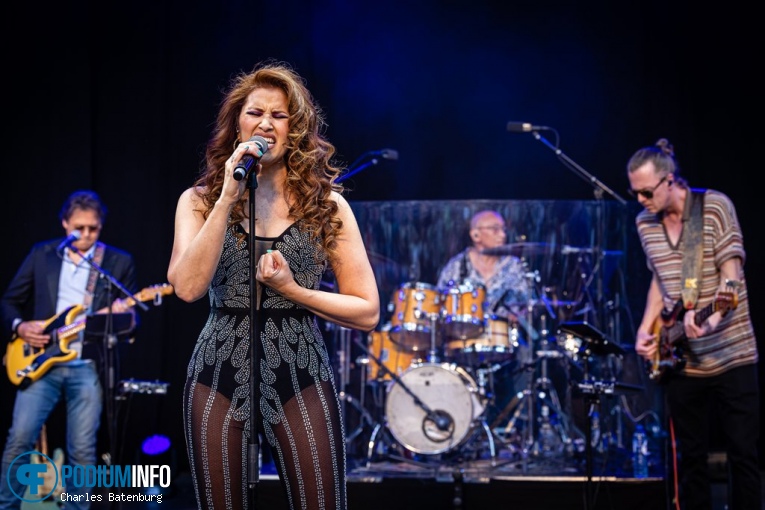 The Legends We've Lost op Zuiderpark Live: The Legends We’ve Lost - 23/06 - Zuiderparktheater foto