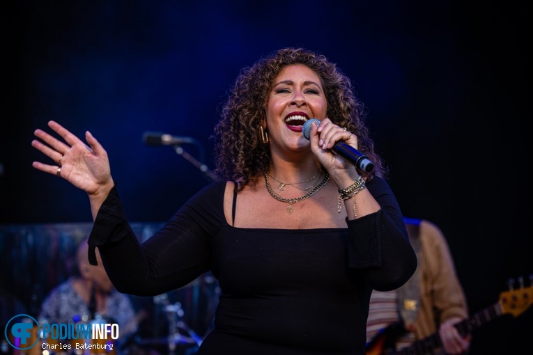 The Legends We've Lost op Zuiderpark Live: The Legends We’ve Lost - 23/06 - Zuiderparktheater foto
