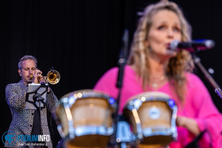 The Legends We've Lost op Zuiderpark Live: The Legends We’ve Lost - 23/06 - Zuiderparktheater foto