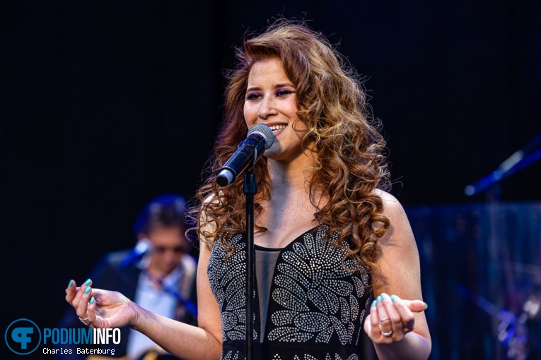 The Legends We've Lost op Zuiderpark Live: The Legends We’ve Lost - 23/06 - Zuiderparktheater foto