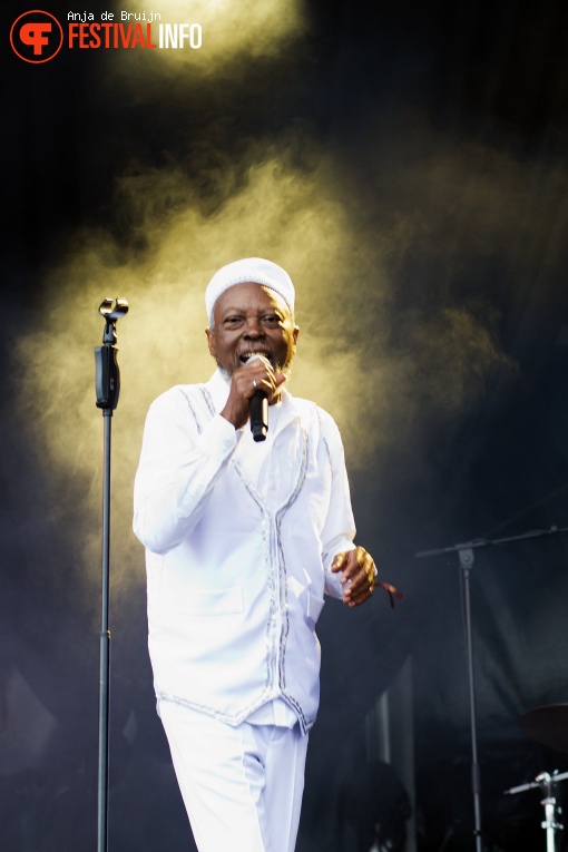 Roger Damawuzan  op Metropolis Festival 2024 foto