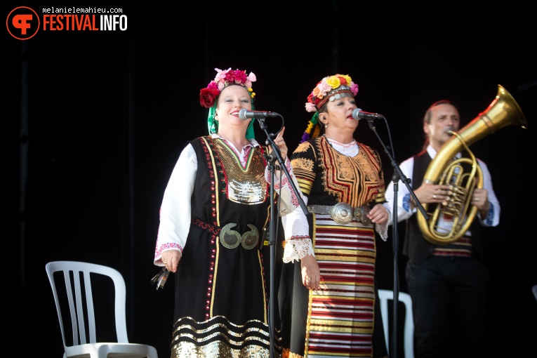 Goran Bregovic op Paléo 2024 foto