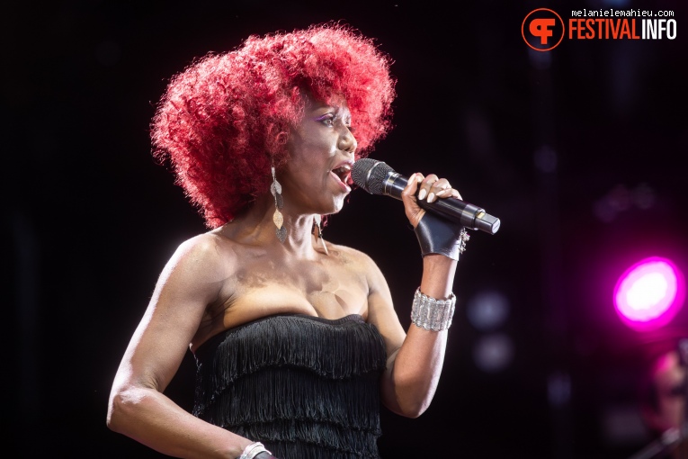 Nile Rodgers & Chic op Paléo 2024 foto