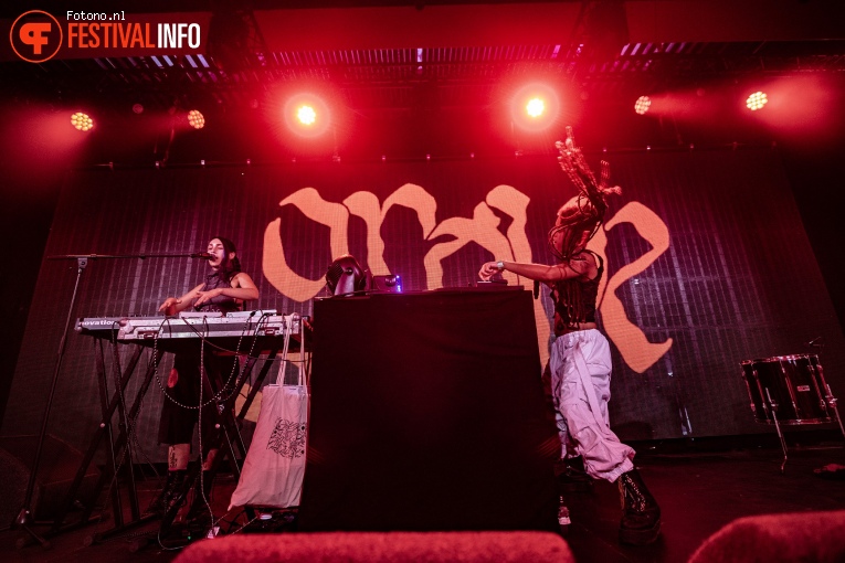 Grove op Lowlands 2024 - Vrijdag foto
