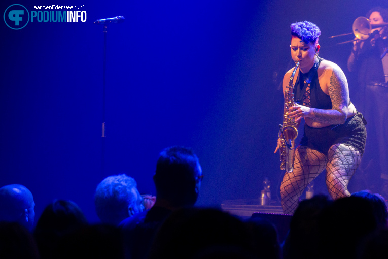 New Purple Celebration op New Purple Celebration - 27/9 - Paard foto