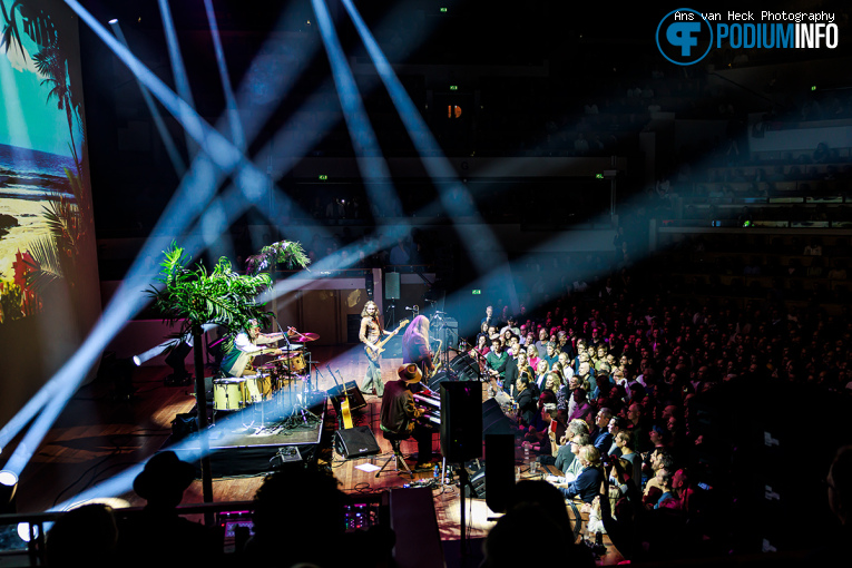 Young Gun Silver Fox op Young Gun Silver Fox - 04/12 - TivoliVredenburg foto