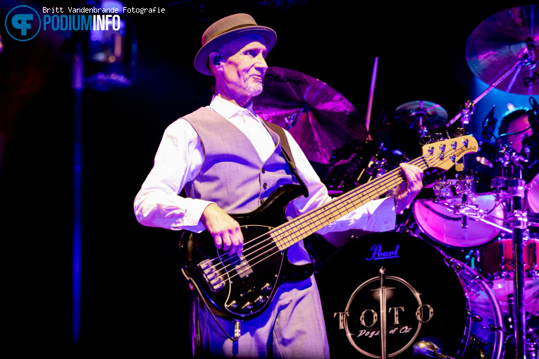 Toto op Toto - 08/02 - Gelredome foto