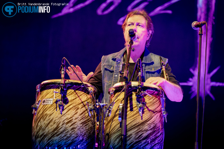 Toto op Toto - 08/02 - Gelredome foto
