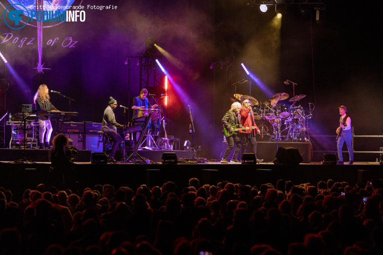 Toto op Toto - 08/02 - Gelredome foto