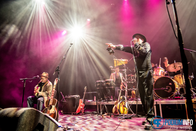 The Braindogs op Braindogs - Tribute To Tom Waits - 19/03 - Q-Factory foto