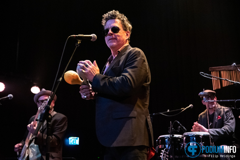 The Braindogs op The Braindogs - 22/03 - TivoliVredenburg foto