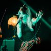 Foto LUVCAT op Motel Mozaïque (MOMO) 2025