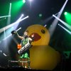 Foto Alestorm te Paaspop Schijndel 2025 - Vrijdag