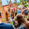 Foto  op Paaspop Schijndel 2025 - Zondag