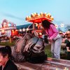 Foto op Paaspop Schijndel 2025 - Zondag