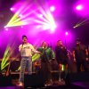 De Niemanders foto Bevrijdingsfestival Brabant 2025