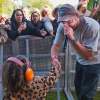 Donnie (NL) foto Bevrijdingsfestival Zuid-Holland 2025