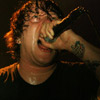 Foto Comeback Kid te Groezrock 2009