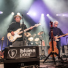 Foto Los Lobos te Blues Peer 2025