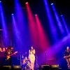 The Last Internationale foto Ribs & Blues 2025