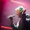 Foto Goldband op Dauwpop 2025