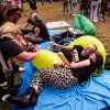 Foto  op Dauwpop 2025