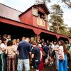 Festivalinfo review: Dauwpop 2025