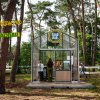 Foto  op Dauwpop 2025