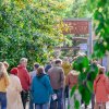 Foto op Zuiderpark Live: Young Gun Silver Fox - 08/06 - Zuiderparktheater