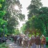 Festivalinfo review: Zuiderpark Live: Young Gun Silver Fox - 08/06 - Zuiderparktheater